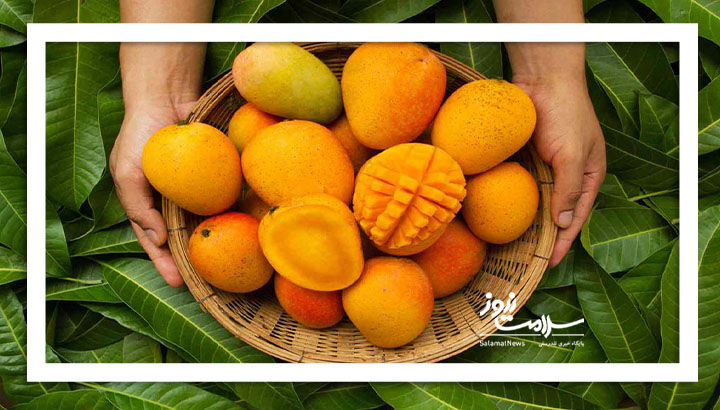 مصرف انبه برای این گروه واجب است مصرف انبه برای این گروه واجب است