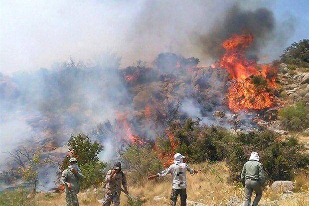 تخصیص امکانات محدود برای آتش‌سوزی‌های فزاینده جنگل‌ها