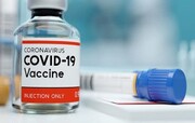 واکسن کرونا ریسک زایمان زودرس را افزایش نمی دهد
