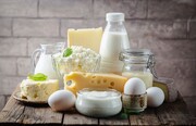 کاهش ۳۰ درصدی مصرف شیر و لبنیات در دو سال اخیر