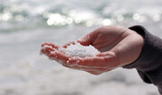 نمک دریایی، مضرترین نمک خوراکی است