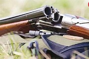 3 میلیون سلاح شکاری مجاز در گوشه و کنار کشور