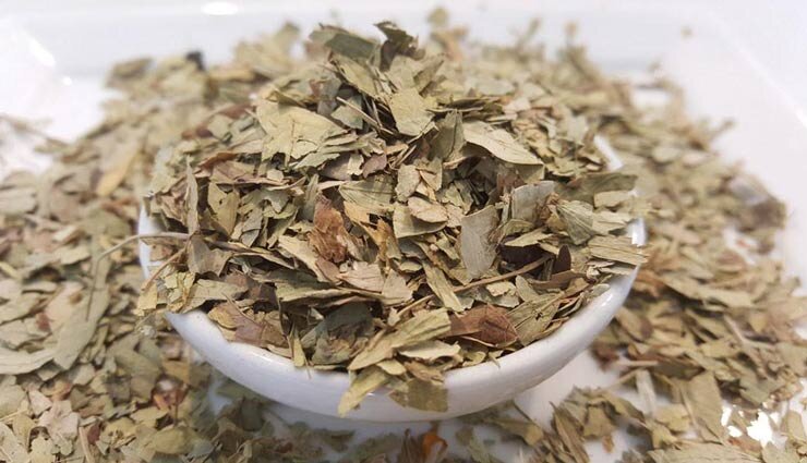 سنا، گیاهی برای تقویت دستگاه گوارش سنا، گیاهی برای تقویت دستگاه گوارش