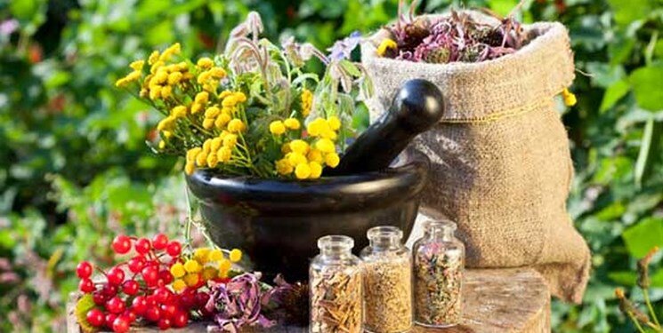 جزئیات اثر بخشی قابل توجه «طب ایرانی» در درمان بیماران کرونایی اعلام شد  جزئیات اثر بخشی قابل توجه «طب ایرانی» در درمان بیماران کرونایی اعلام شد