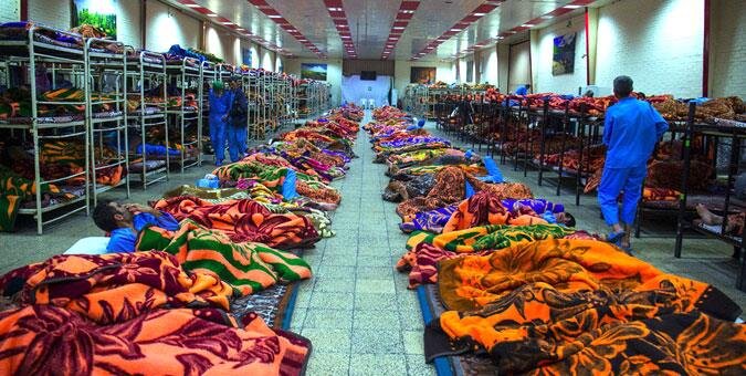 ساکنان خاموش گرمخانهها  ساکنان خاموش گرمخانهها