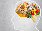غذاهای مفید برای مغز