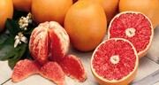 میوه قرمز رنگ زمستانی که باعث سلامت دهان و دندان می‌شود!