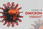 یک مقام سازمان جهانی بهداشت : اومیکرون فرعی بی آ. ۲ به سویه غالب جهان تبدیل می شود