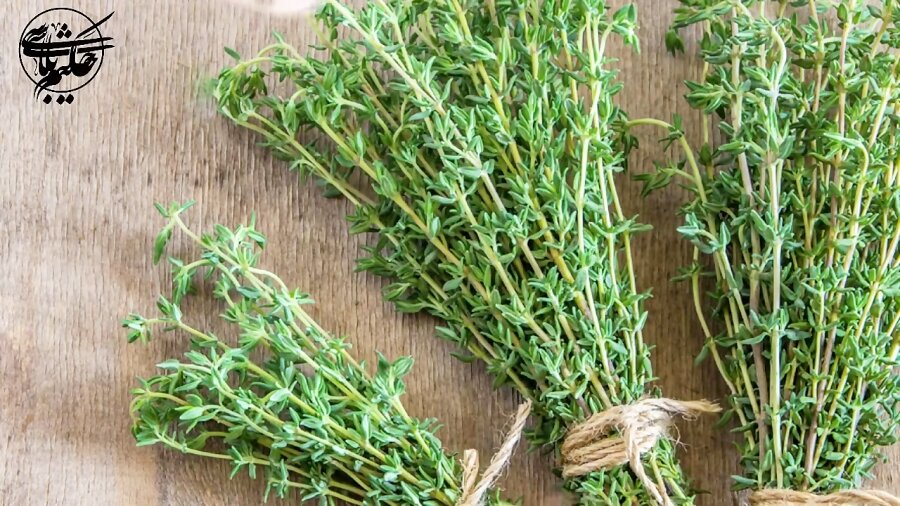 مصرف آویشن برای این افراد خطرناک است  مصرف آویشن برای این افراد خطرناک است