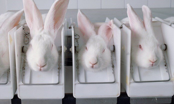 بحران های محیط زیست ,