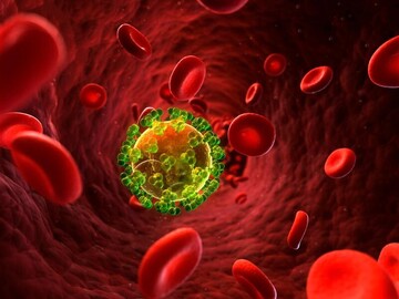 افزایش سن؛ عامل تغییرات پیچیده در سیستم ایمنی بدن