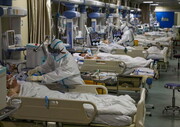 آمار جهانی کرونا؛ فوت بیش از ۵ میلیون و ۹۰۰ هزار بیمار کووید تاکنون