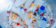 سازمان محیط زیست یک تصمیم جدی برای امحای زباله‌های بیمارستانی بگیرد