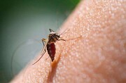 تایید روش درمانی جدید مالاریا برای کودکان