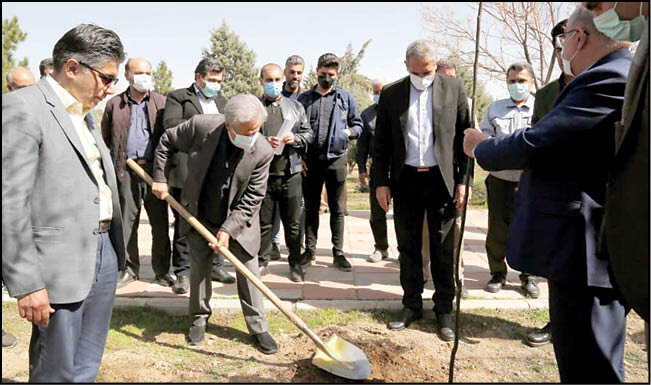 کاشت 2هزار اصله نهال در تهران به یاد شهدای جنگلبان