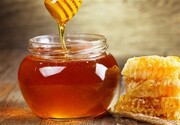 عسل طبیعی و اصل از کجا بخریم ؟