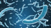 میکروب‌های روده بر ویژگی‌های شخصیتی انسان چه تاثیری دارد؟