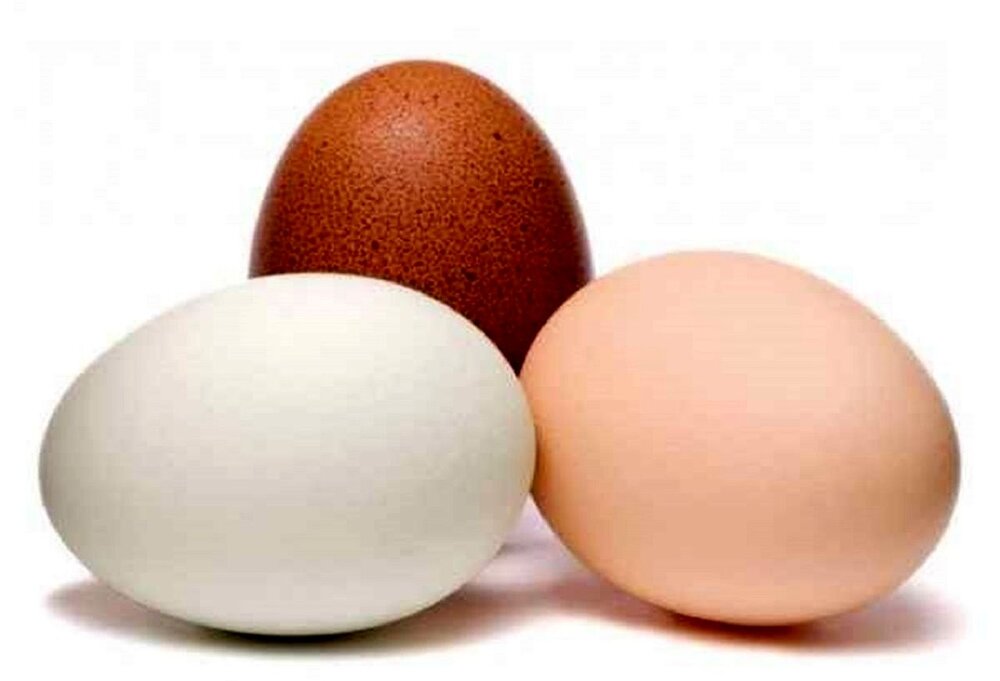 تخم مرغ سفید و قهوه‌ای چه تفاوتی با هم دارد؟
