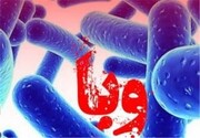 ۱۳ راه پیشگیری از ابتلا به وبا در سفرهای نوروزی
