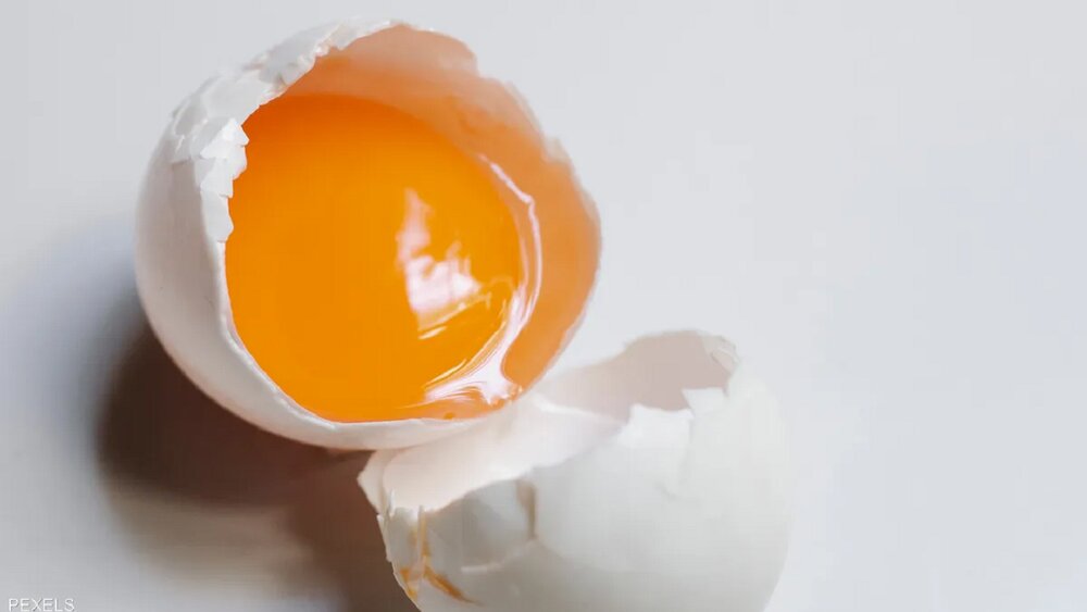 آیا خوردن تخم مرغ خام مضر است؟ آیا خوردن تخم مرغ خام مضر است؟
