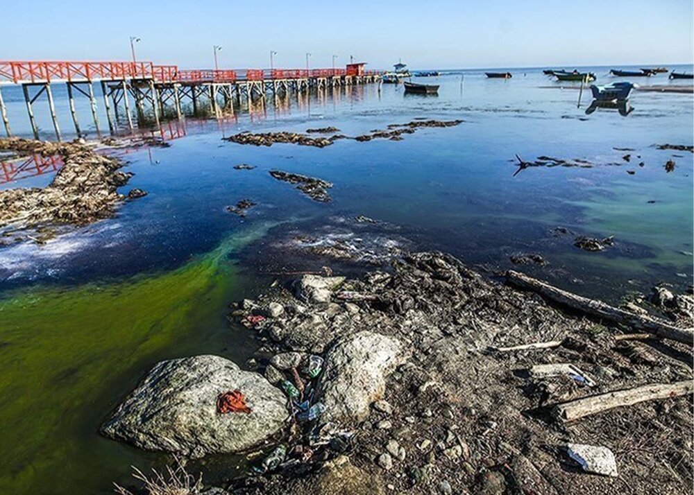 لایروبی کانال‌ها وضعیت "خلیج گرگان" را وخیم‌تر می‌کند؟!
