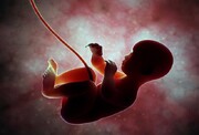 آیا غربالگری جنین ممنوع شده است؟