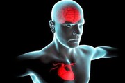 فاکتورهای پرخطر قلبی با ریسک ابتلا به زوال عقل مرتبط هستند