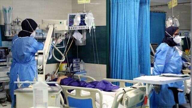 فوتی های روزانه کرونا به ۳ نفر رسید فوتی های روزانه کرونا به ۳ نفر رسید