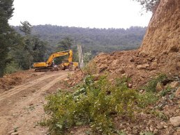 800 هکتار جنگل هیرکانی قربانی سد کسیلیان/ سکوت متخصصان موافق طرح های جنگلداری 800 هکتار جنگل هیرکانی قربانی سد کسیلیان/ سکوت متخصصان موافق طرح های جنگلداری