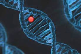 ژن درمانی راهی جدید برای توقف درد ژن درمانی راهی جدید برای توقف درد