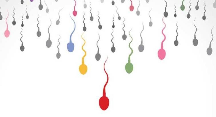 مایع منی طبیعی چه ویژگی هایی دارد؟ مایع منی طبیعی چه ویژگی هایی دارد؟