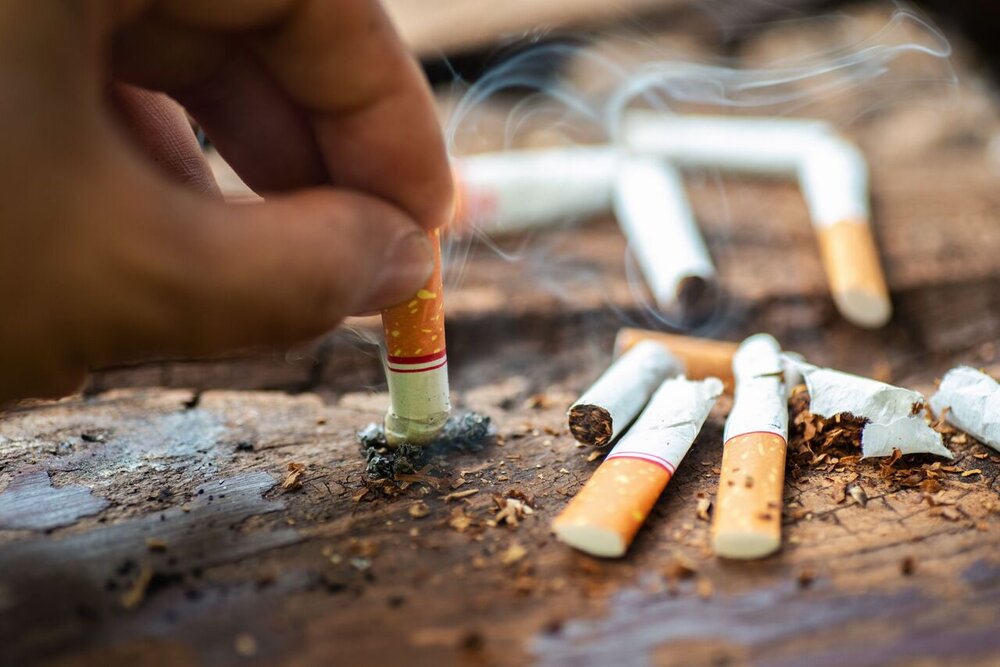 ۶۰۰ میلیون درخت برای تولید سالانه ۶ هزار میلیارد نخ سیگار در جهان قطع می‌شود