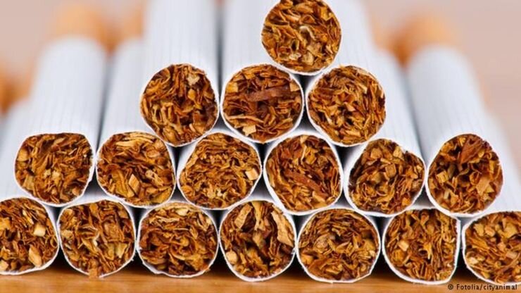 اثرات مخرب زیست محیطی تولید تنباکو/ترفند صنایع دخانی برای جذب جوانان