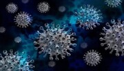 ویروس‌های ارتوپاکس، تهدیدی دیگر در قرن ۲۱