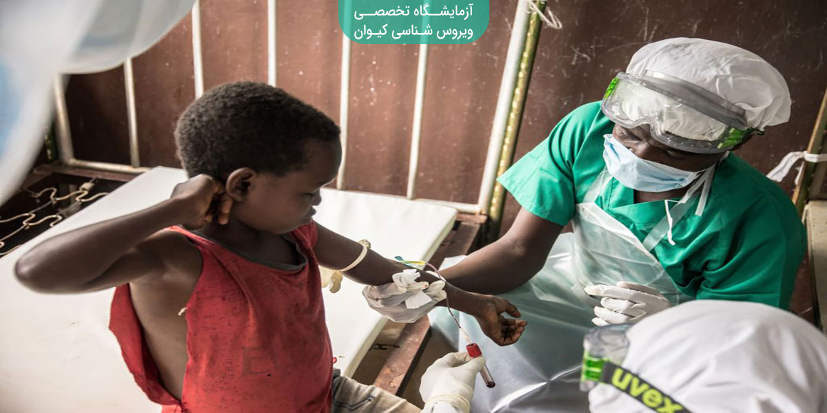 آیا آبله میمون به ایران رسیده؟ آشنایی با علائم و درمان آن