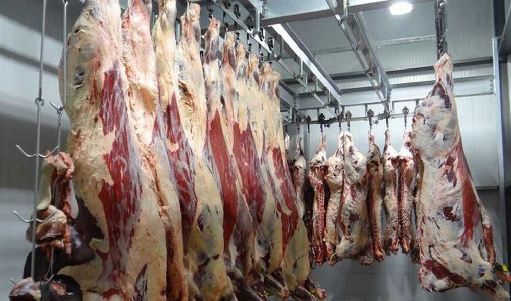 خطر پنهان تماس با دام؛ مراقب این بیماری کُشنده باشید! خطر پنهان تماس با دام؛ مراقب این بیماری کُشنده باشید!