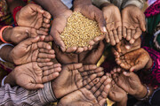 کمبود مواد غذایی بحران بعدی جهان