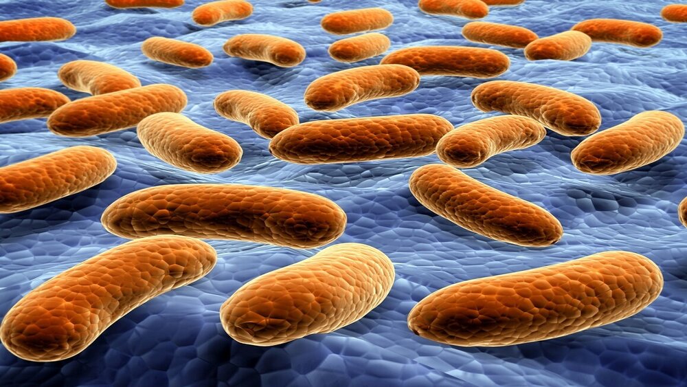 آنتی بیوتیک؛ عامل کلیدی مقاومت دارویی در باکتری ها