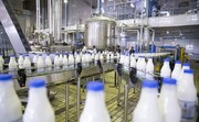 ماجرای شیرهای آلوده و کارشناسان شایعه‌ساز