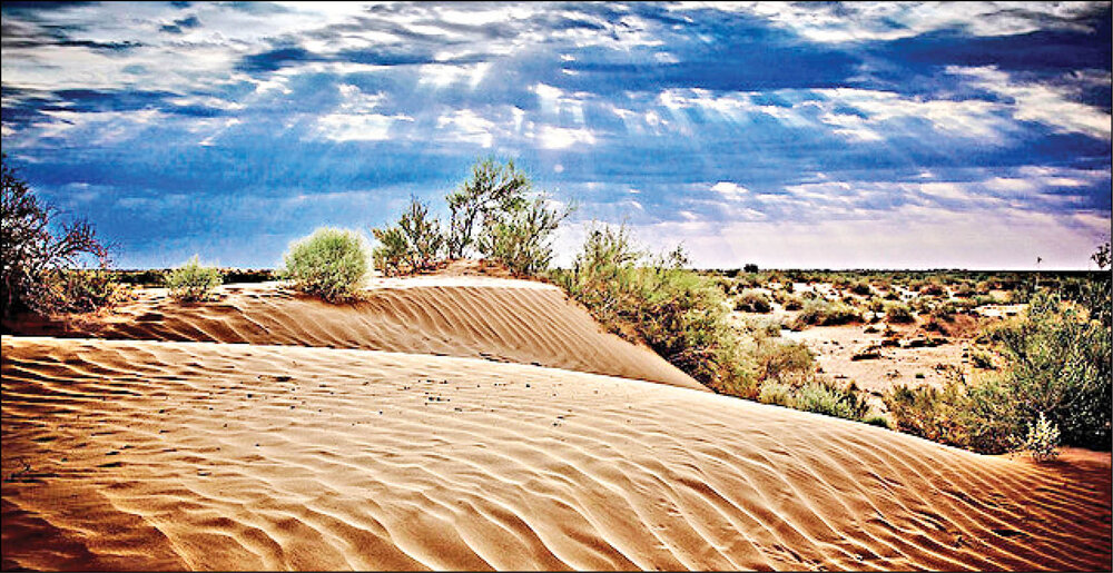 بحران بیابانی شدن بحران بیابانی شدن