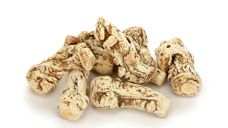 داروهای گیاهی برای تسکین میگرن