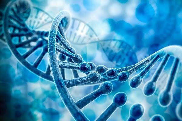جهشهای ژنتیکی میتوانند عامل پارکینسون باشند جهشهای ژنتیکی میتوانند عامل پارکینسون باشند