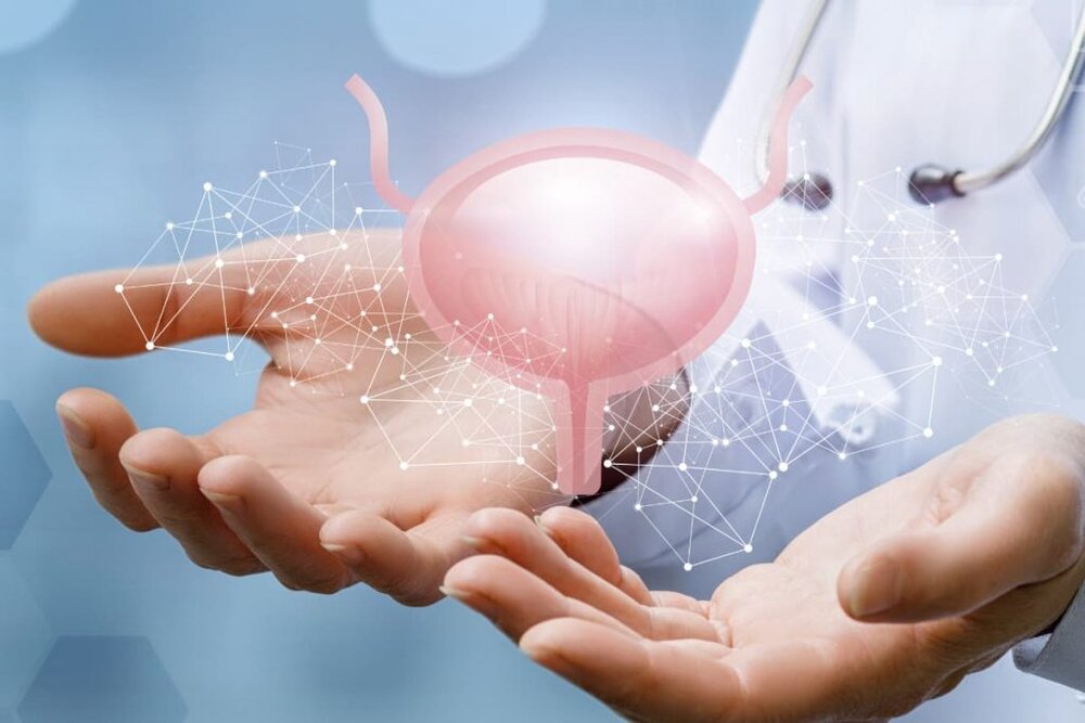 سرطان مثانه: چگونه علائم تومور را در ادرار خود شناسایی کنیم؟ سرطان مثانه: چگونه علائم تومور را در ادرار خود شناسایی کنیم؟