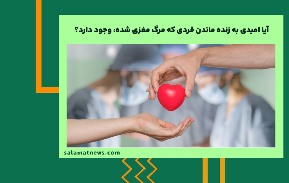 آیا امیدی به زنده ماندن فردی که مرگ مغزی شده، وجود دارد؟ آیا امیدی به زنده ماندن فردی که مرگ مغزی شده، وجود دارد؟