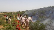 "منطقه حفاظت شده خائیز " از دیروز در آتش می سوزد