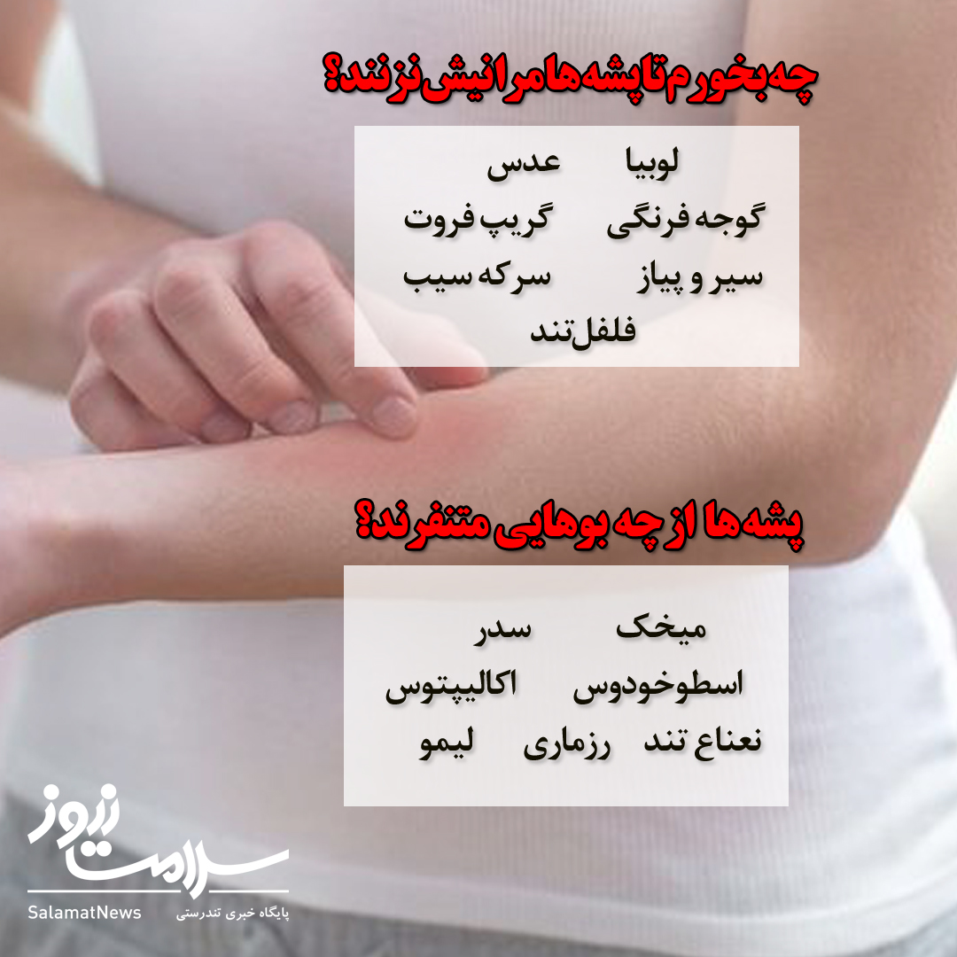 با مصرف این ویتامین از نیش پشه در تابستان در امان باشید