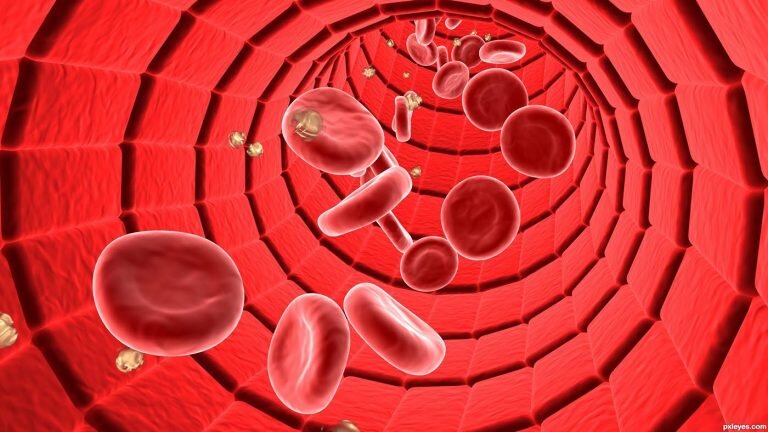 غلظت خون در ریسک مرگ ناشی از کووید ۱۹ نقش دارد غلظت خون در ریسک مرگ ناشی از کووید ۱۹ نقش دارد