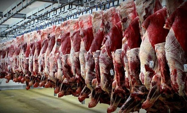 اطلاعیه سازمان دامپزشکی درباره ذبح دام ؛ این ۷ توصیه را جدی بگیرید اطلاعیه سازمان دامپزشکی درباره ذبح دام ؛ این ۷ توصیه را جدی بگیرید