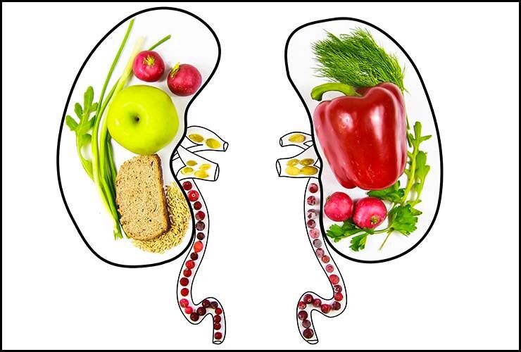 میوه و سبزیجات بیشتری بخورید تا کلیه های سالم داشته باشید