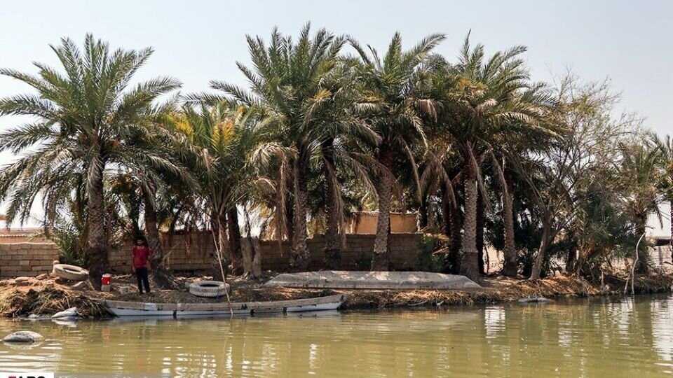 صنایع آلاینده، بلای جان تالاب بینالمللی شادگان  صنایع آلاینده، بلای جان تالاب بینالمللی شادگان